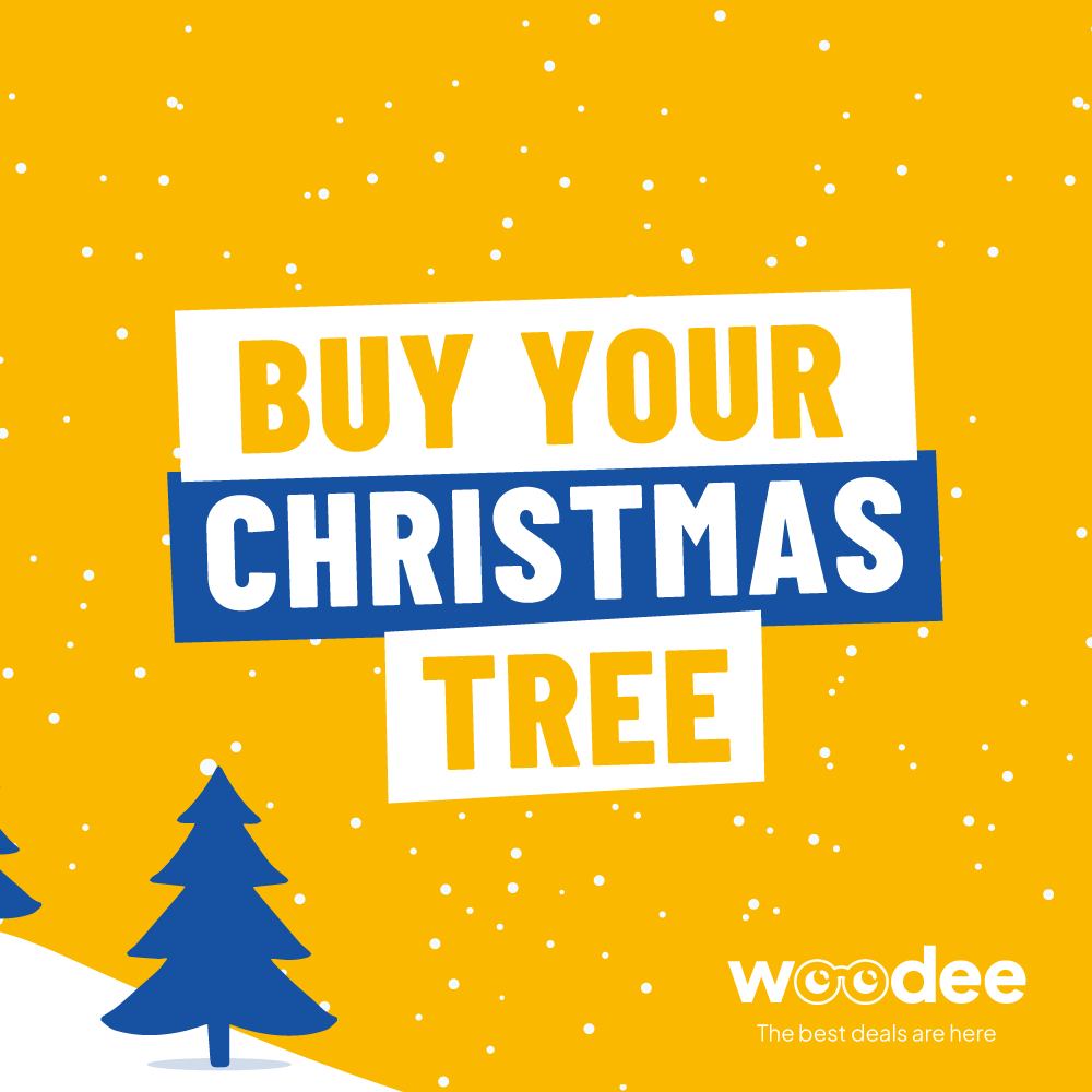 🎄 Tu n’as pas encore ton sapin ?

C’est le dernier moment pour en profiter 🎁

👉…