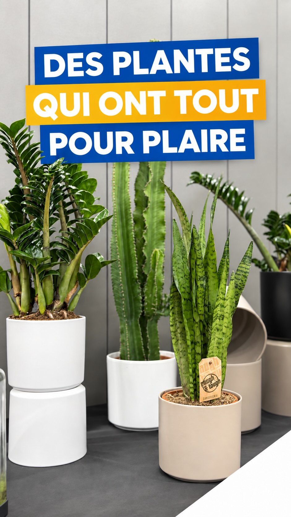𝐃𝐮 𝐯𝐞𝐫𝐭, 𝐬𝐚𝐧𝐬 𝐥𝐞𝐬 𝐜𝐨𝐧𝐭𝐫𝐚𝐢𝐧𝐭𝐞𝐬 🌿

Plantes faciles d’entretien, terrariums autono…
